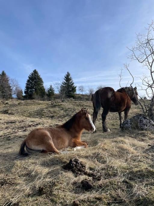 Chic & Champetre Au Coeur Du Haut-Jura Lamoura Exteriér fotografie