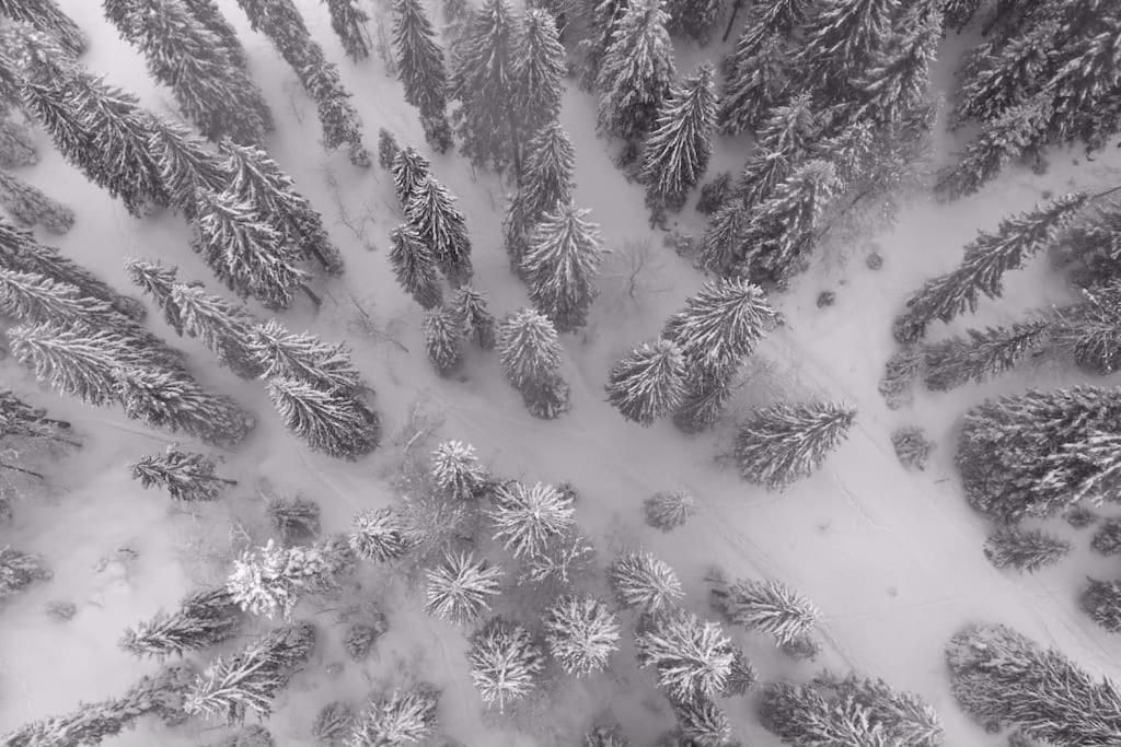Chic & Champetre Au Coeur Du Haut-Jura Lamoura Exteriér fotografie